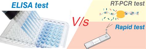 rapid and elisa test